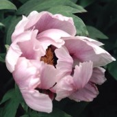 unnamed (1)92